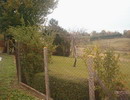 Envoyez ce taleauMornac0012.jpg