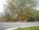 Envoyez ce taleauMornac0018.jpg